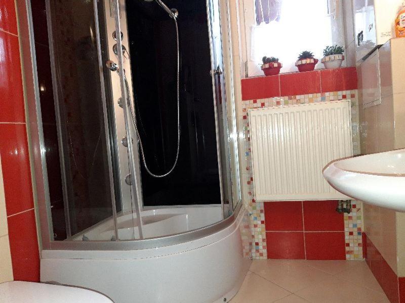 Przytulny Apartament-Cosy And Beautiful Żywiec Exteriör bild